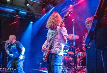 Ailurophobia - Photo by Natalie