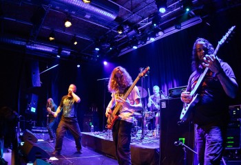 Ailurophobia - Photo by Natalie