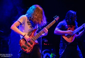 Ailurophobia - Photo by Natalie