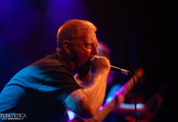 Ailurophobia - Photo by Natalie