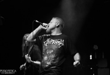 Ailurophobia - Photo by Natalie