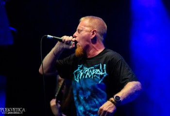 Ailurophobia - Photo by Natalie