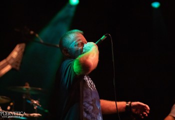 Ailurophobia - Photo by Natalie