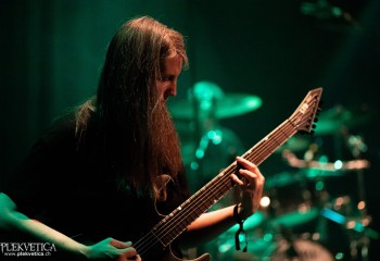 Ailurophobia - Photo by Natalie