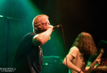 Ailurophobia - Photo by Natalie