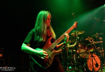 Ailurophobia - Photo by Natalie