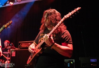 Ailurophobia - Photo by Natalie