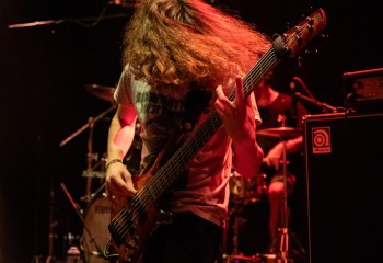 Ailurophobia - Photo by Natalie