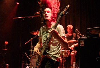 Ailurophobia - Photo by Natalie