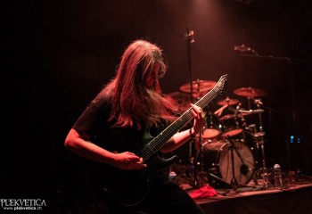 Ailurophobia - Photo by Natalie