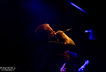 Ailurophobia - Photo by Natalie