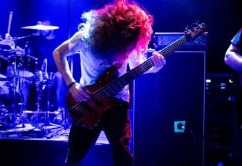 Ailurophobia - Photo by Natalie