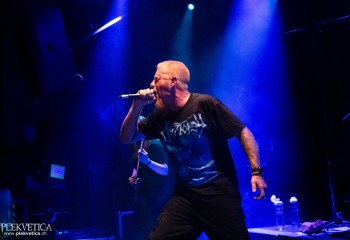 Ailurophobia - Photo by Natalie