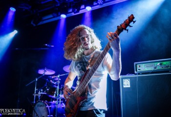 Ailurophobia - Photo by Natalie