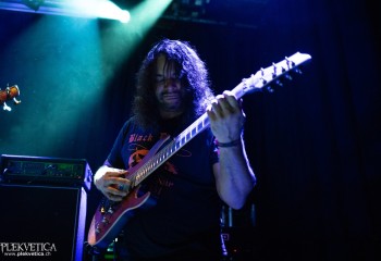 Ailurophobia - Photo by Natalie