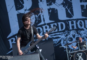 Bloodred Hourglass - Photo by Dänu