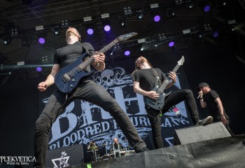 Bloodred Hourglass - Photo by Dänu