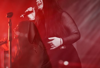 BÖSE FUCHS - Photo By Peti