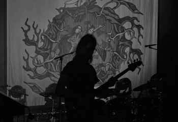 Cellar Darling - Photo By Peti