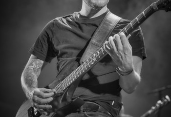 Cellar Darling - Photo By Peti