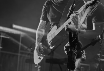 Cellar Darling - Photo By Peti