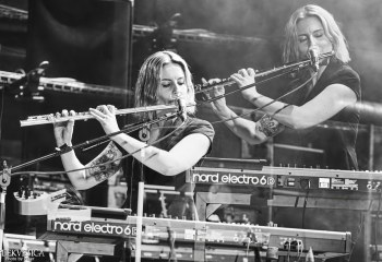 Cellar Darling - Photo By Peti