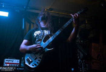 Cenotaph - Photo by Natalie