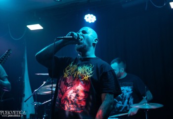 Cenotaph - Photo by Natalie