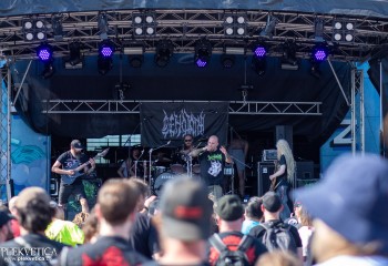 Cenotaph - Photo by Natalie