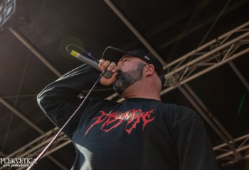 Chordotomy - Photo by Natalie