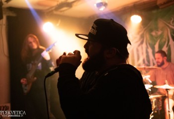 Conniver - Photo by Natalie