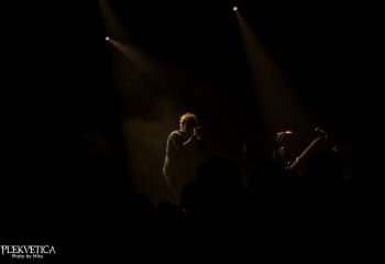 Crimson Pride - Photo by Miky