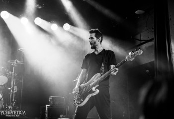 Dogstar - Photo by Roli