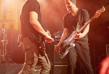 Dogstar - Photo by Roli