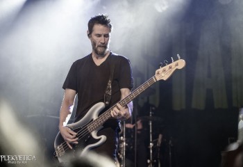 Dogstar - Photo by Roli