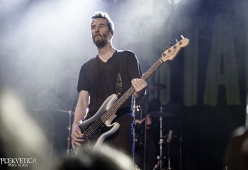 Dogstar - Photo by Roli