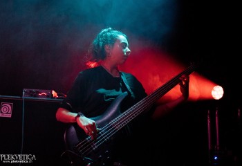 Endless Garden - Photo by Natalie