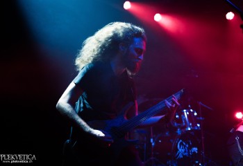 Endless Garden - Photo by Natalie