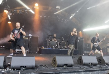 Epicardiectomy - Photo by Roli