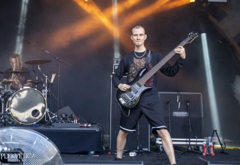 Epicardiectomy - Photo by Roli