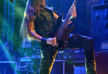 Hammer King - Photo By Peti