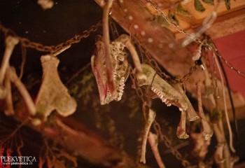 Häxenzijrkell - Picture by Natalie