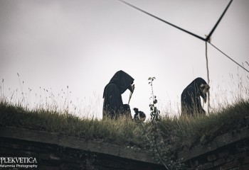 Carcass_08.08.2024_Brutal_Assault