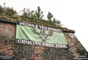 Impressionen_09.08.2024_Brutal_Assault