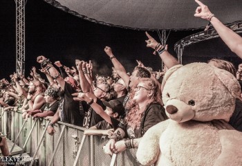 Fans - Photo by Pat