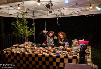 Ailurophobia - Photo by Natalie