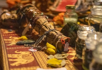 Ailurophobia - Photo by Natalie