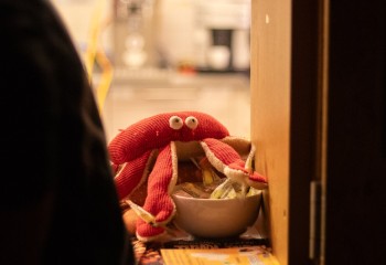 DarkFlow - Photo by Natalie