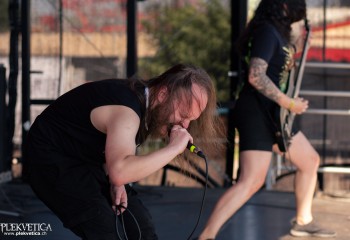 Infestation - Photo by Natalie