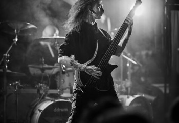 Ingested - Photo By Peti